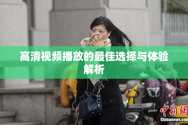 高清视频播放的最佳选择与体验解析