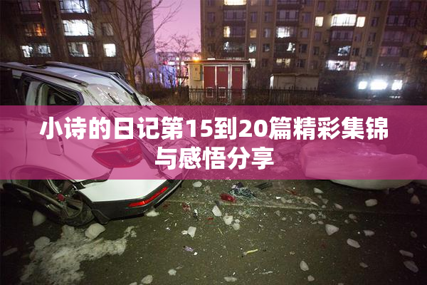 小诗的日记第15到20篇精彩集锦与感悟分享