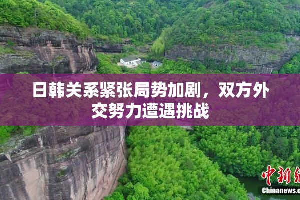 日韩关系紧张局势加剧，双方外交努力遭遇挑战