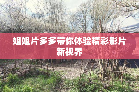 姐姐片多多带你体验精彩影片新视界