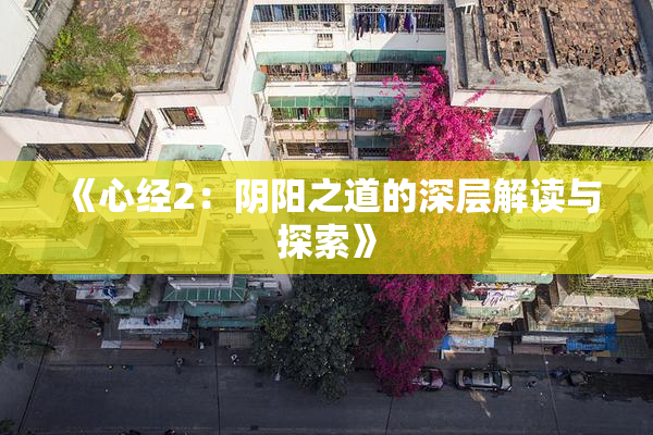 《心经2：阴阳之道的深层解读与探索》