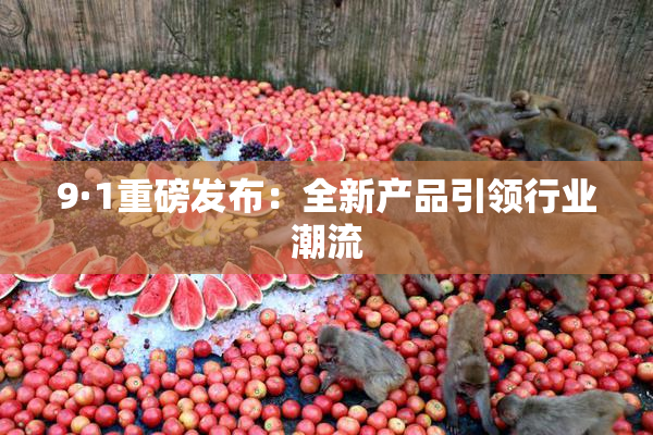 9·1重磅发布：全新产品引领行业潮流