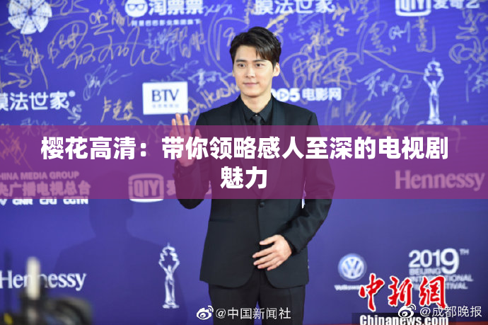 樱花高清：带你领略感人至深的电视剧魅力
