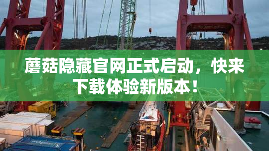 蘑菇隐藏官网正式启动，快来下载体验新版本！