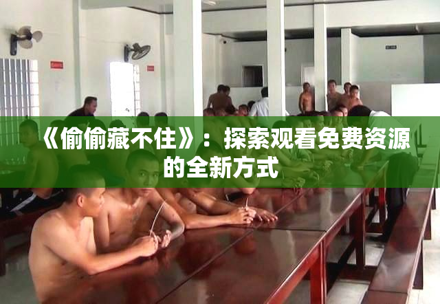《偷偷藏不住》：探索观看免费资源的全新方式