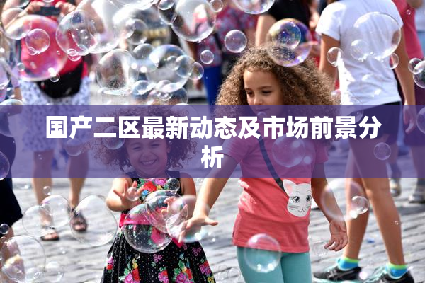 国产二区最新动态及市场前景分析