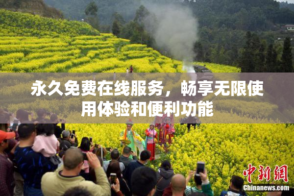 永久免费在线服务，畅享无限使用体验和便利功能