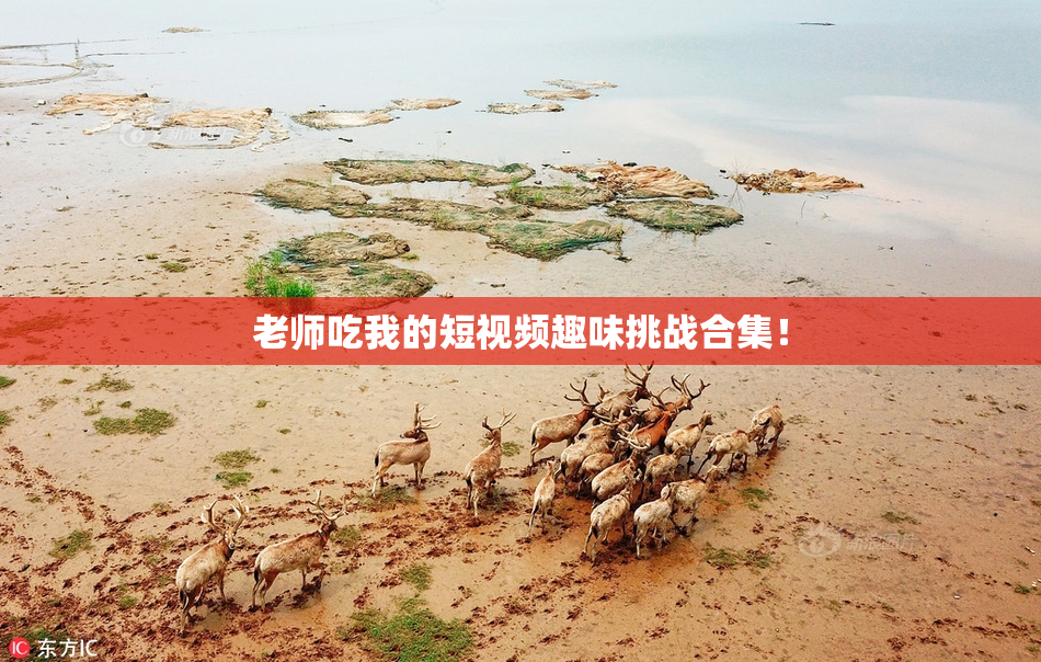 老师吃我的短视频趣味挑战合集！