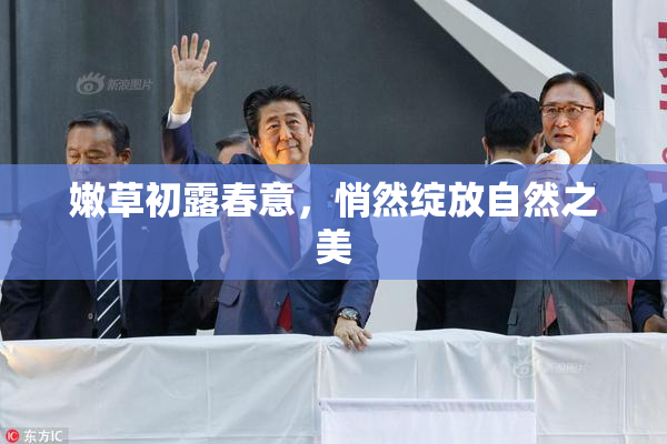 嫩草初露春意，悄然绽放自然之美
