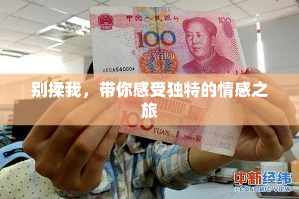 别揉我，带你感受独特的情感之旅