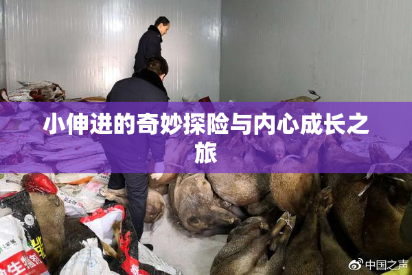 小伸进的奇妙探险与内心成长之旅