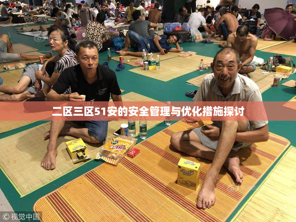 二区三区51安的安全管理与优化措施探讨
