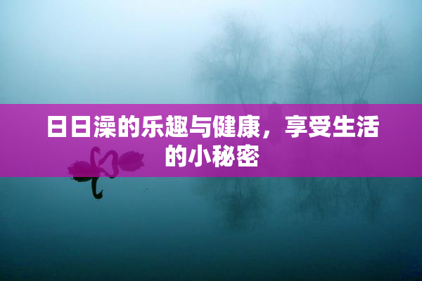 日日澡的乐趣与健康，享受生活的小秘密