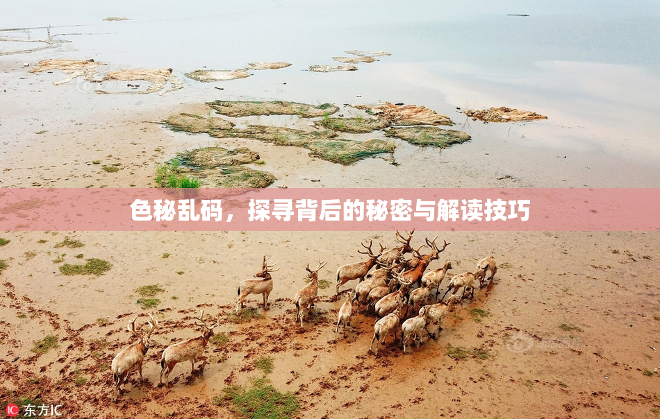 色秘乱码，探寻背后的秘密与解读技巧