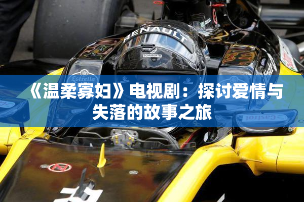 《温柔寡妇》电视剧：探讨爱情与失落的故事之旅