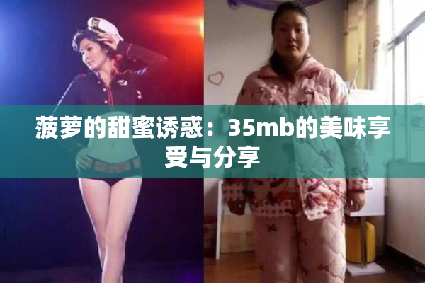 菠萝的甜蜜诱惑：35mb的美味享受与分享
