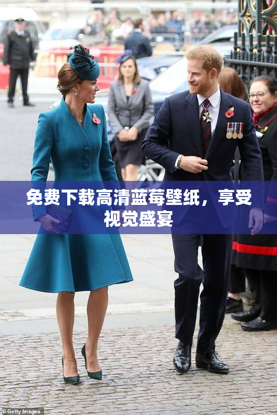 免费下载高清蓝莓壁纸，享受视觉盛宴