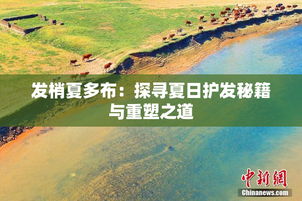 发梢夏多布：探寻夏日护发秘籍与重塑之道