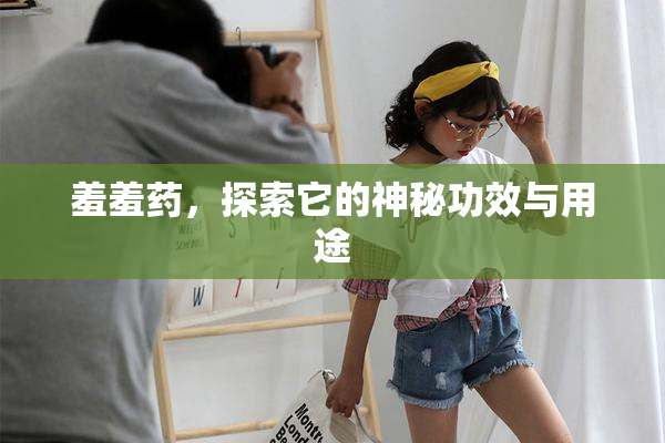 羞羞药，探索它的神秘功效与用途