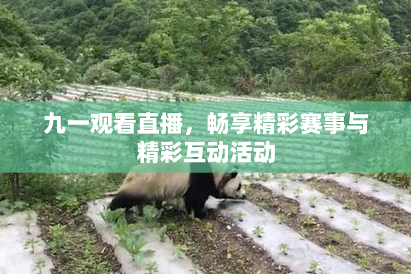 九一观看直播，畅享精彩赛事与精彩互动活动