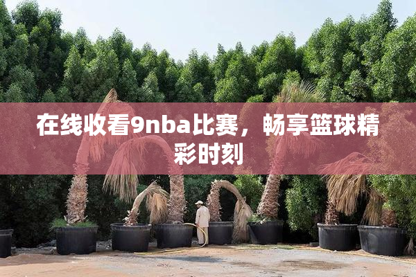 在线收看9nba比赛，畅享篮球精彩时刻