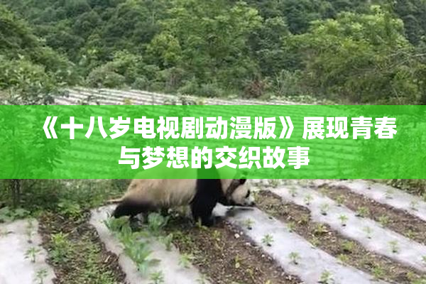 《十八岁电视剧动漫版》展现青春与梦想的交织故事