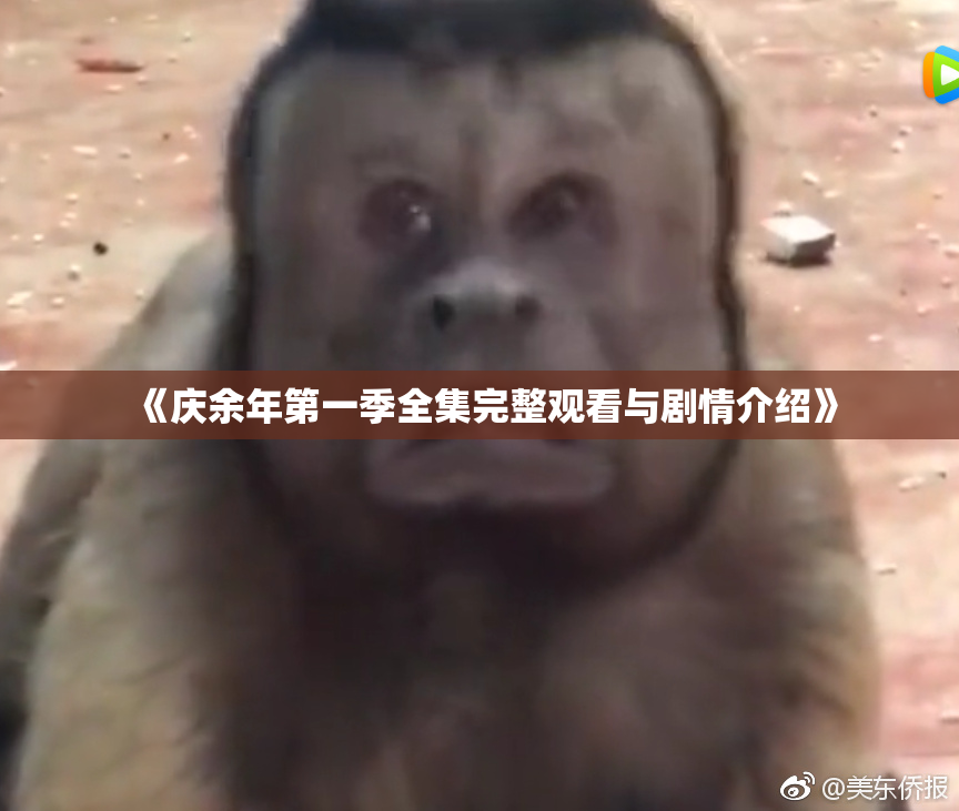 《庆余年第一季全集完整观看与剧情介绍》