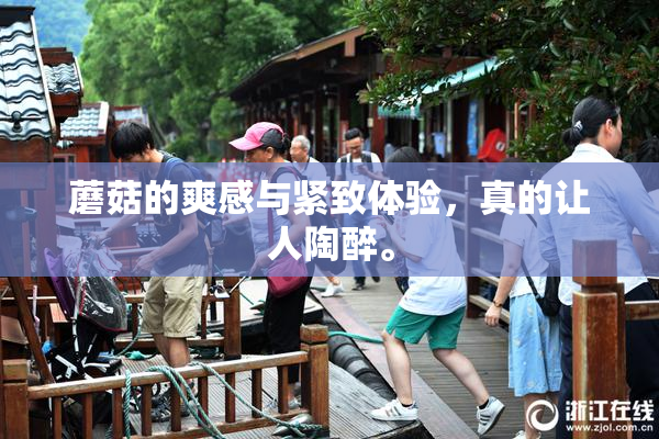 蘑菇的爽感与紧致体验，真的让人陶醉。