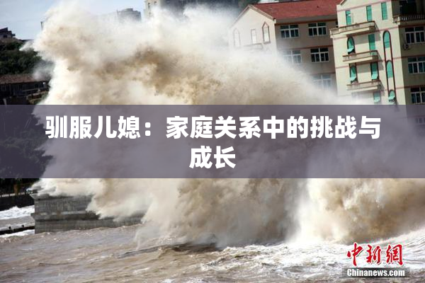 驯服儿媳：家庭关系中的挑战与成长