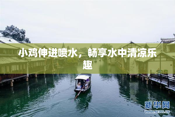 小鸡伸进喷水，畅享水中清凉乐趣