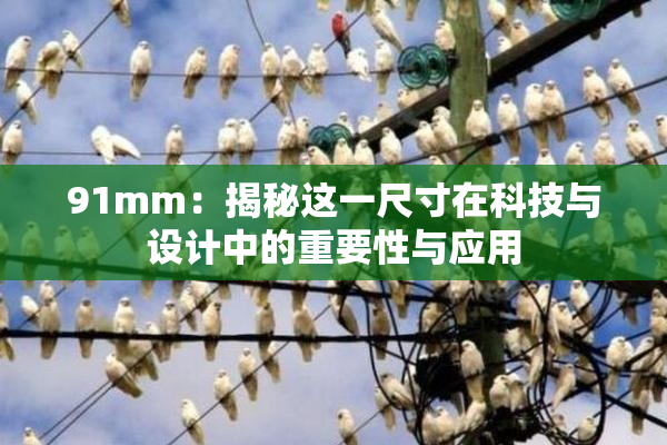 91mm：揭秘这一尺寸在科技与设计中的重要性与应用