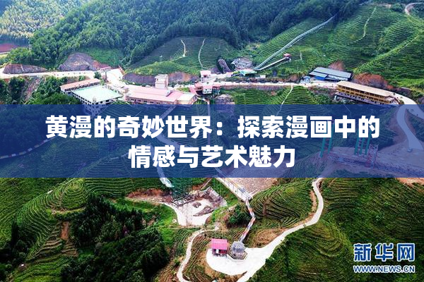 黄漫的奇妙世界：探索漫画中的情感与艺术魅力