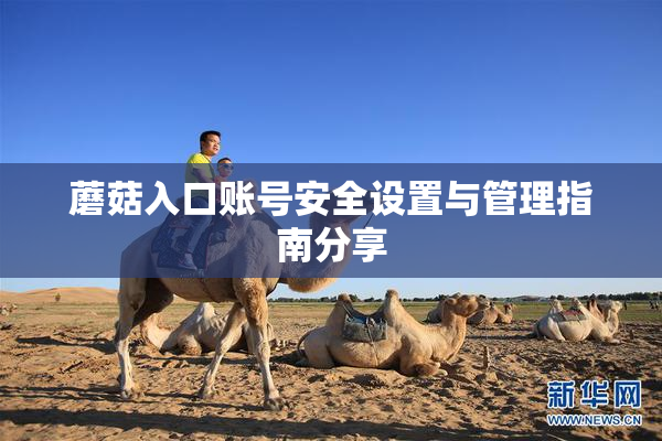蘑菇入口账号安全设置与管理指南分享