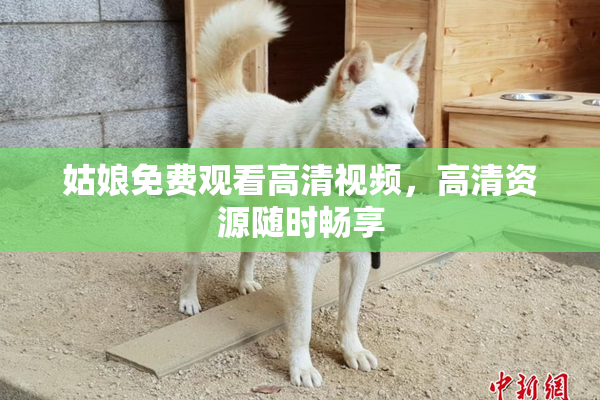 姑娘免费观看高清视频，高清资源随时畅享
