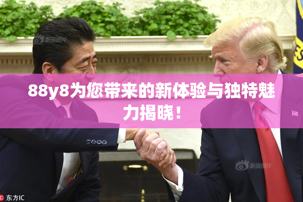 88y8为您带来的新体验与独特魅力揭晓！