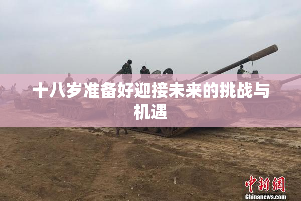 十八岁准备好迎接未来的挑战与机遇