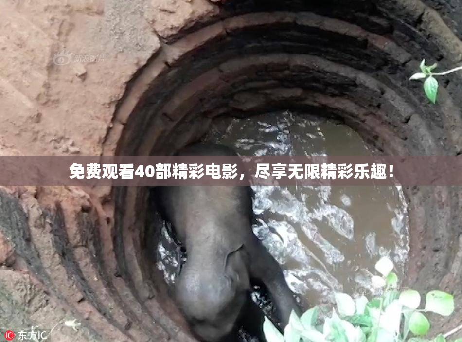 免费观看40部精彩电影，尽享无限精彩乐趣！