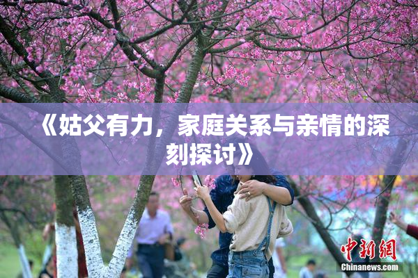 《姑父有力，家庭关系与亲情的深刻探讨》