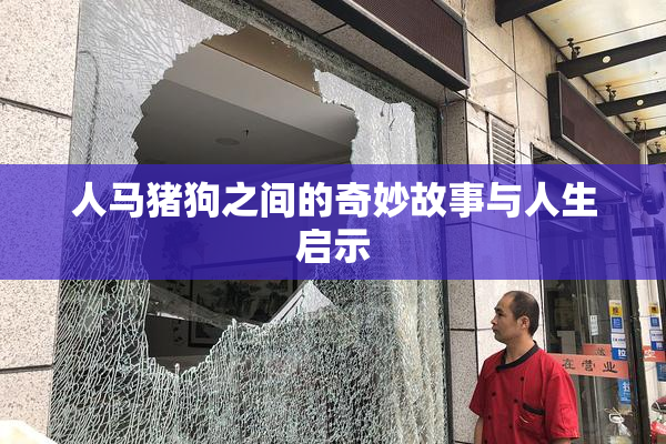 人马猪狗之间的奇妙故事与人生启示