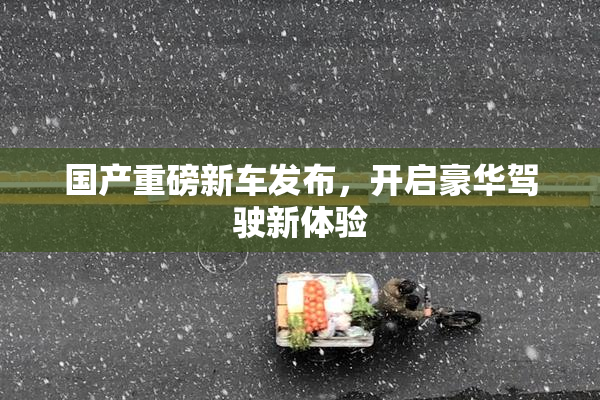 国产重磅新车发布，开启豪华驾驶新体验