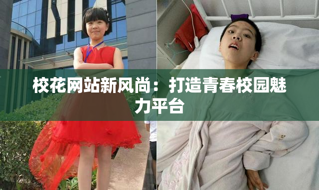 校花网站新风尚：打造青春校园魅力平台