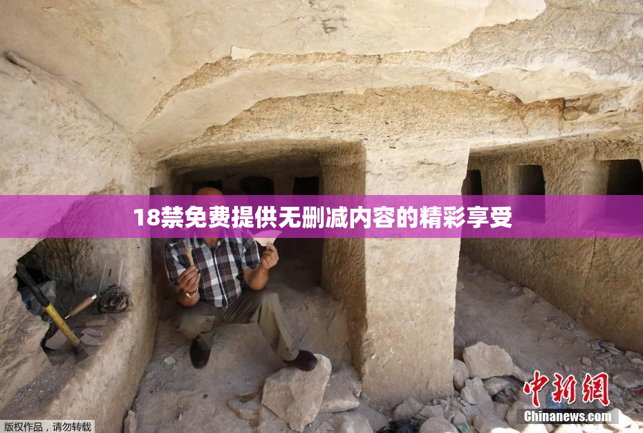 18禁免费提供无删减内容的精彩享受
