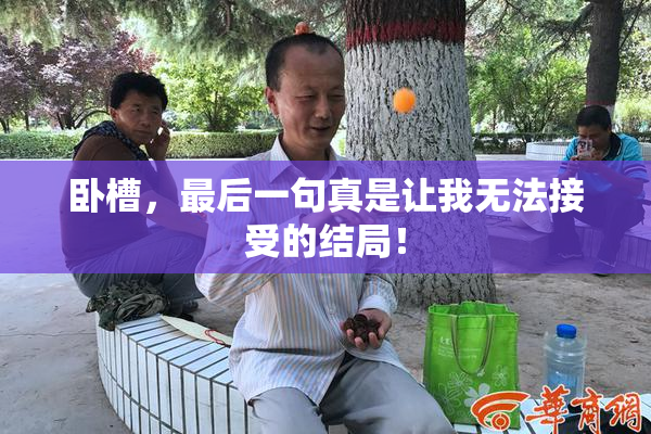 卧槽，最后一句真是让我无法接受的结局！