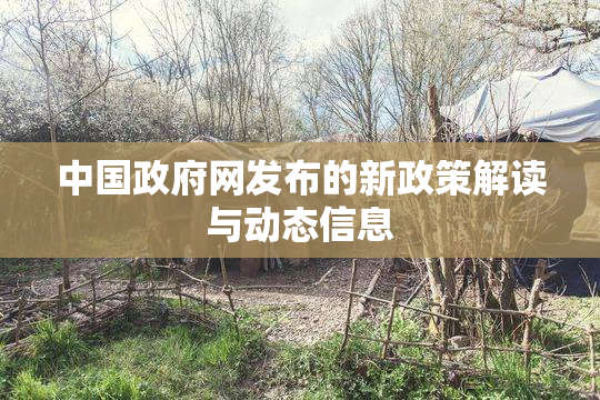 中国政府网发布的新政策解读与动态信息