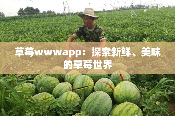 草莓wwwapp：探索新鲜、美味的草莓世界
