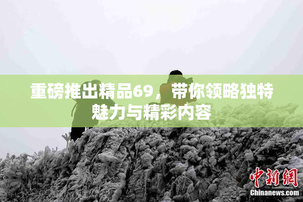 重磅推出精品69，带你领略独特魅力与精彩内容
