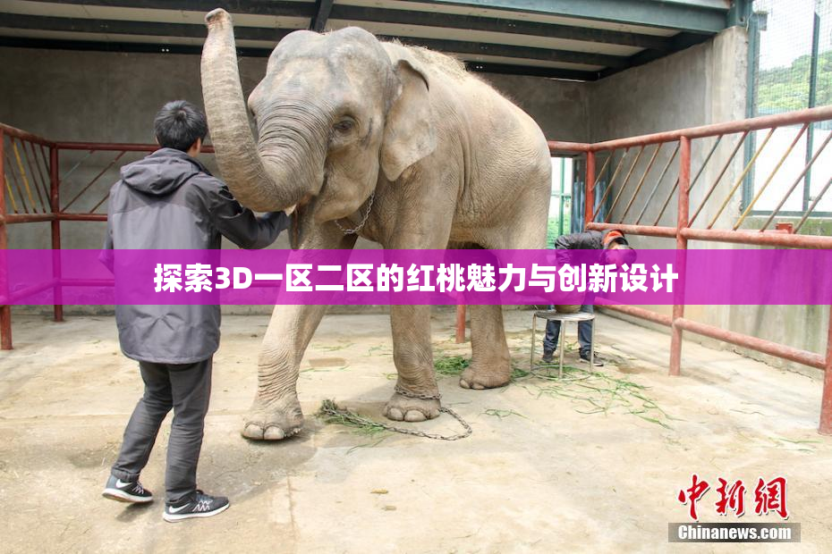 探索3D一区二区的红桃魅力与创新设计
