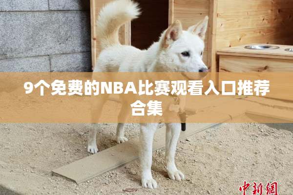 9个免费的NBA比赛观看入口推荐合集