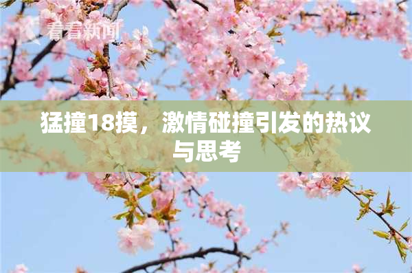 猛撞18摸，激情碰撞引发的热议与思考