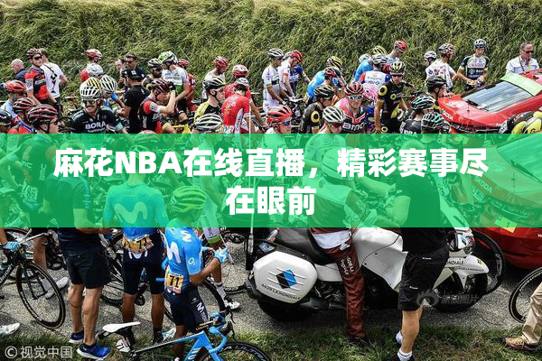 麻花NBA在线直播，精彩赛事尽在眼前